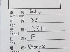 -申普宠物医院·心脏介入·心血管微创(总院)