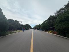 -北陵公园