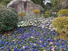 -采石矶景区