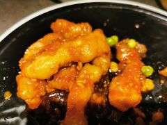 -前海沿·青岛菜(大拇指广场石老人店)