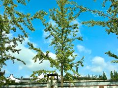 -龙华素斋(龙华路店)