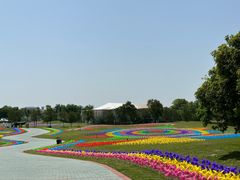 -洪湖湿地生态园