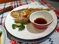 -蚝魁·海鲜大排档·啫啫·生蚝(体育西店)