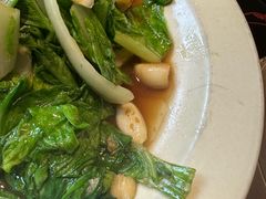 -同乐馆(阳光店)