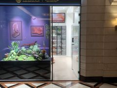 -上海国际饭店