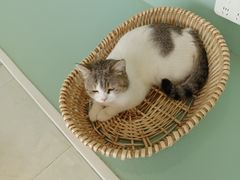 -怪兽屋·羊驼·猫咖·狗咖(俊华广场店)
