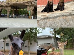 -南京金牛湖风景区
