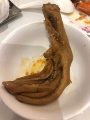 -成都世外桃源酒店-宴会厅·草坪婚礼·会议活动