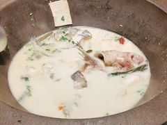 -鲜潭蒸汽石锅鱼(五道口购物中心店)