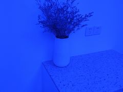 -LANN I 蘭 SPA(陆家嘴中心店)