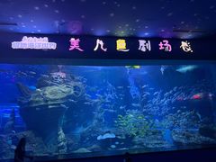 -多彩贵州城极地海洋世界