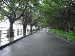 -大湾区中央湿地公园