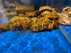 -上和臻品中国菜(花园街店)