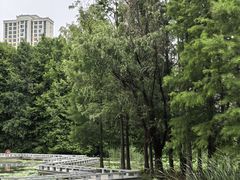 -白塘生态植物园
