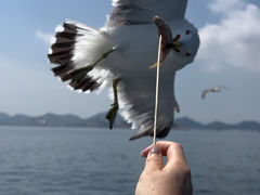 -海驴岛(荣成市)