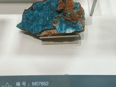 -中国地质博物馆
