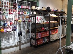 -猫咪博物馆(顶澳仔猫街店)