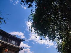 -滇藏石锅宴(北门坡古城管理局店)
