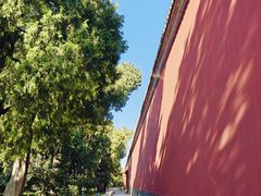 -北京市劳动人民文化宫(太庙)