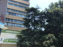 -中国电信(武林广场营业厅)