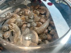 -大锅强·蒸海鲜青岛菜(金沙滩店)