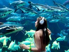 -波塞冬旅游度假区