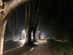 -灵谷景区