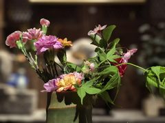 -月栖华明-云间草堂清茶馆(泗泾古镇店)