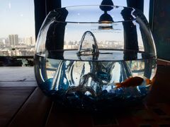 -烛影拾光观景餐厅·创意菜·摄影·小提琴(大唐不夜城店)