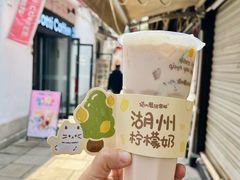 -猫的魔法密林(衣裳街店)