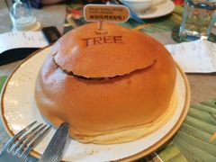 -大树餐厅(红旗街万达店)