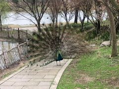 -宁波杭州湾国家湿地公园