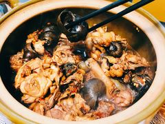 -食爺炭炉鸡煲·烧烤