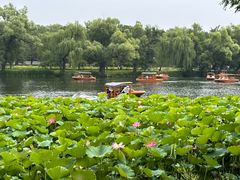 -承德避暑山庄景区