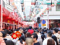 -越秀西湖花市(广州城市广场花卉店)