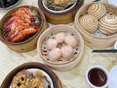 鲜虾饺皇-宝塘茶楼