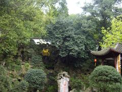 -杭州黄龙洞