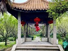 -雨花胜境