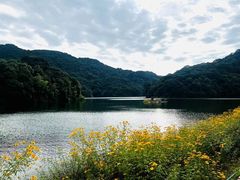 -广州市石门国家森林公园