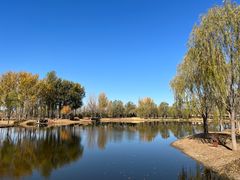-东郊湿地公园