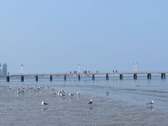 -ChanDu躔度咖啡(灯塔店)