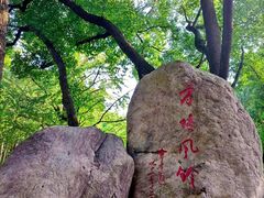 -上海方塔园