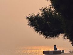 -青岛第二海水浴场