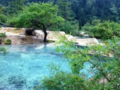 -黄龙山原始森林景区