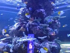 -成都浩海立方海洋公园