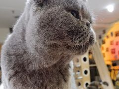 -平行世界·猫咖(首经贸店)