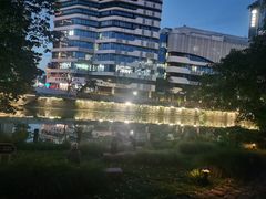 -成都市活水公园