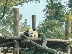 -武汉动物园