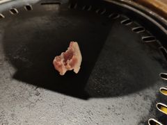 -杨小佳·齐齐哈尔烤肉·烤串(广州店)
