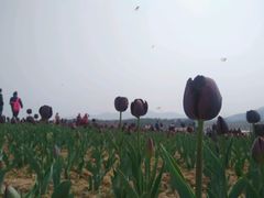 -深业半汤御泉庄温泉